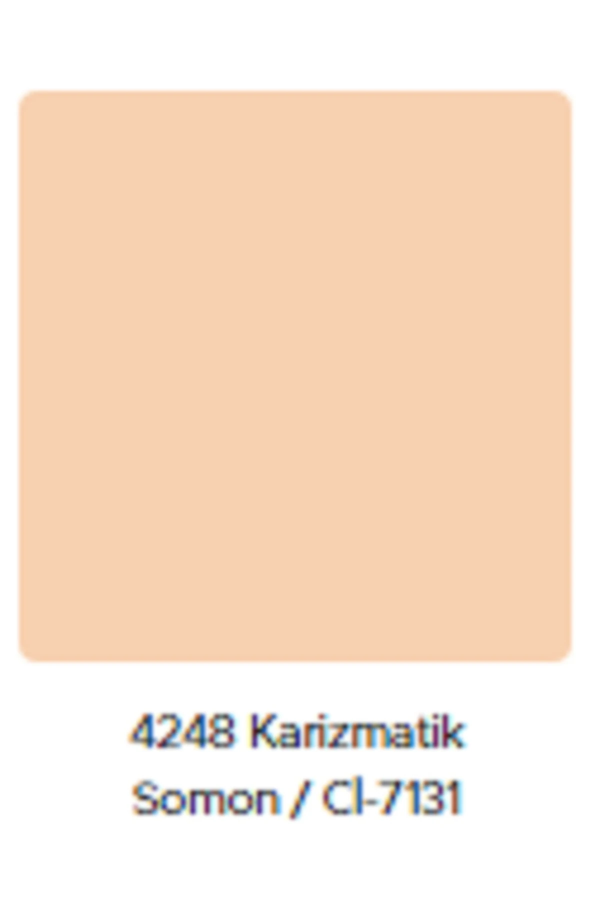 Popüler Plastik Mat Duvar Boyası 20 Kg-karizmatik Somon Rengi