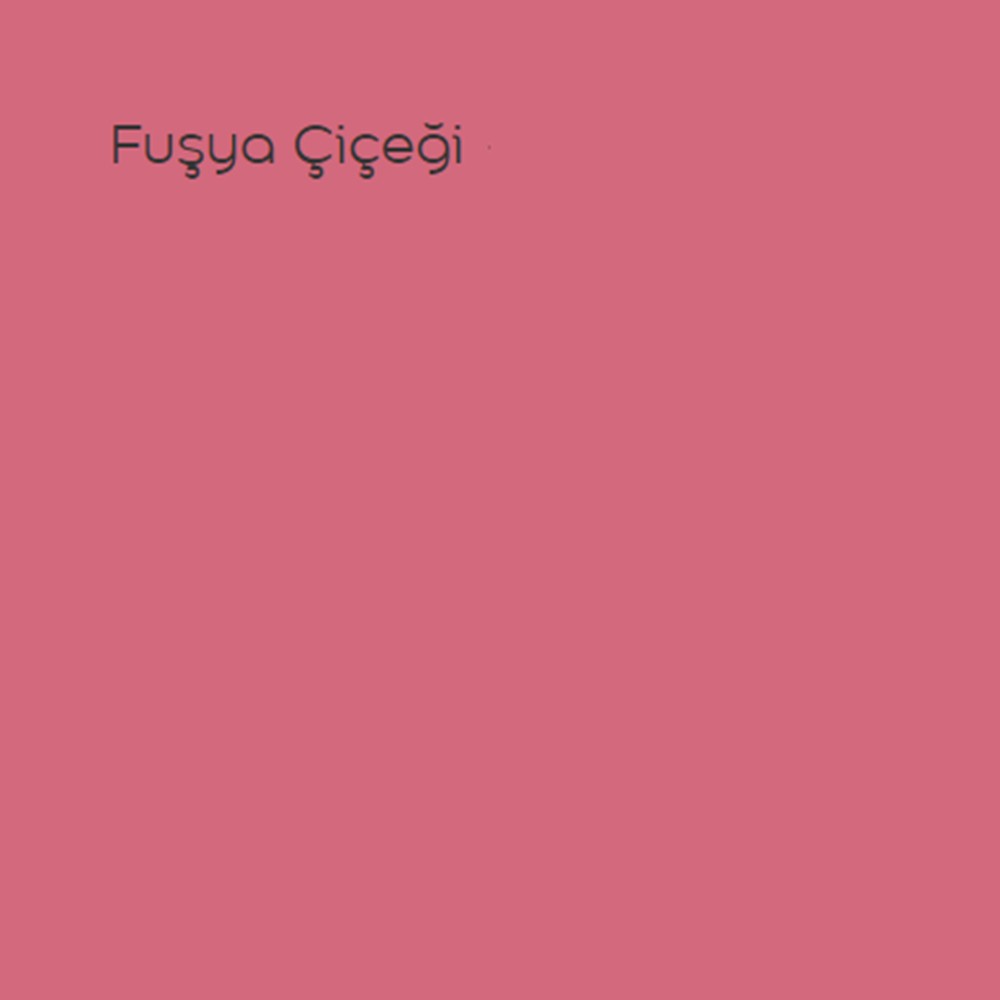 Plastik Mat Iç Cephe Boyası Fuşya Çiçeği 2,5 Lt (3,5 Kg)