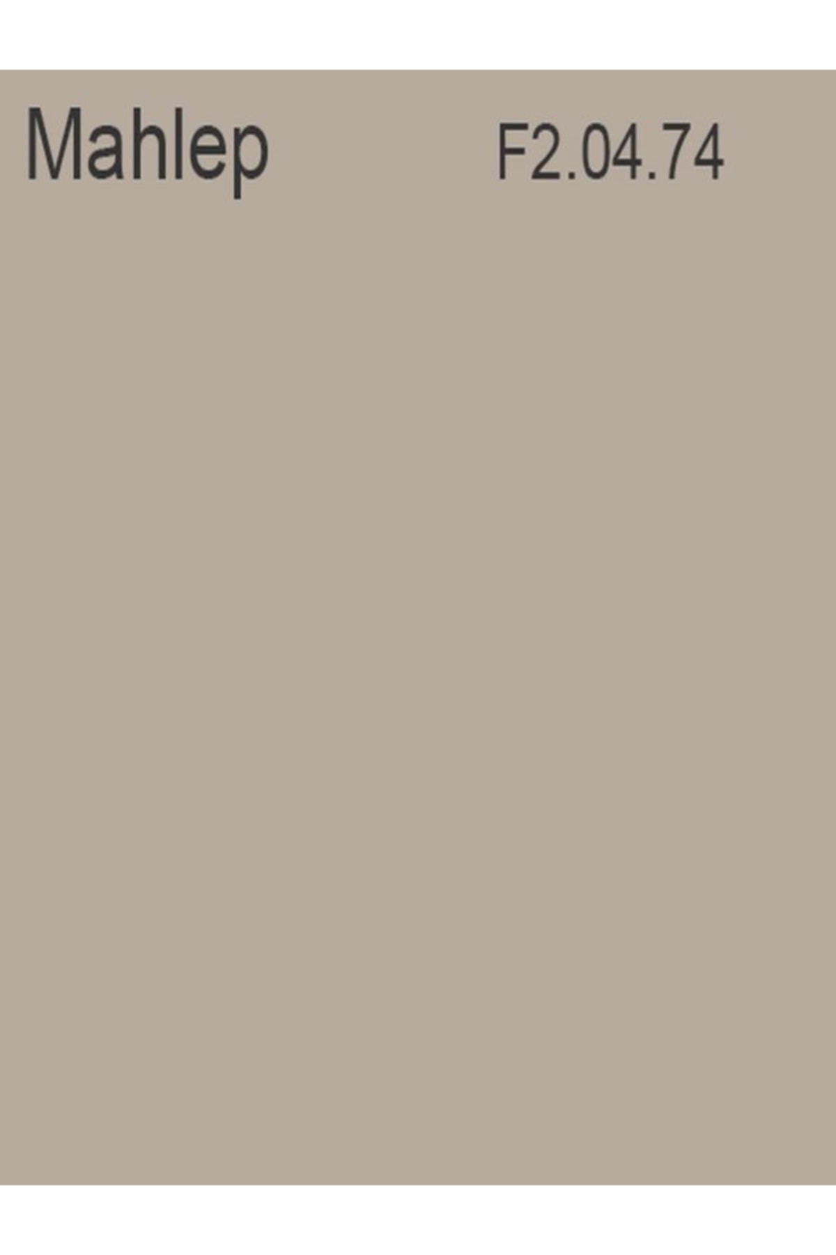 Akrikor Elastomerik Boya Mahlep 2.5 Lt (3,5 Kg)