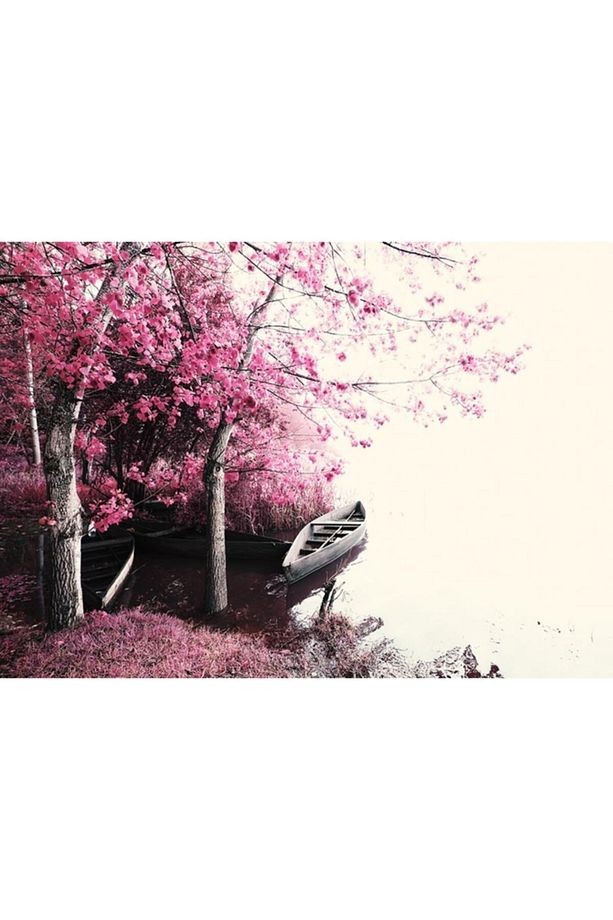 Pembe Yapraklı Romantik Ağaçlar Duvar Kağıdı