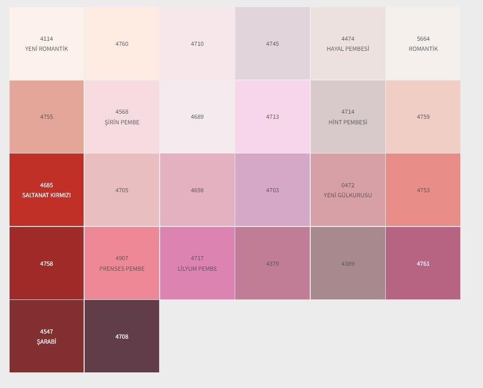 Dinamik Silikonlu Mat Iç Cephe Boyası 2,5 Lt 4217 Yeni Somon-2,5 Lt