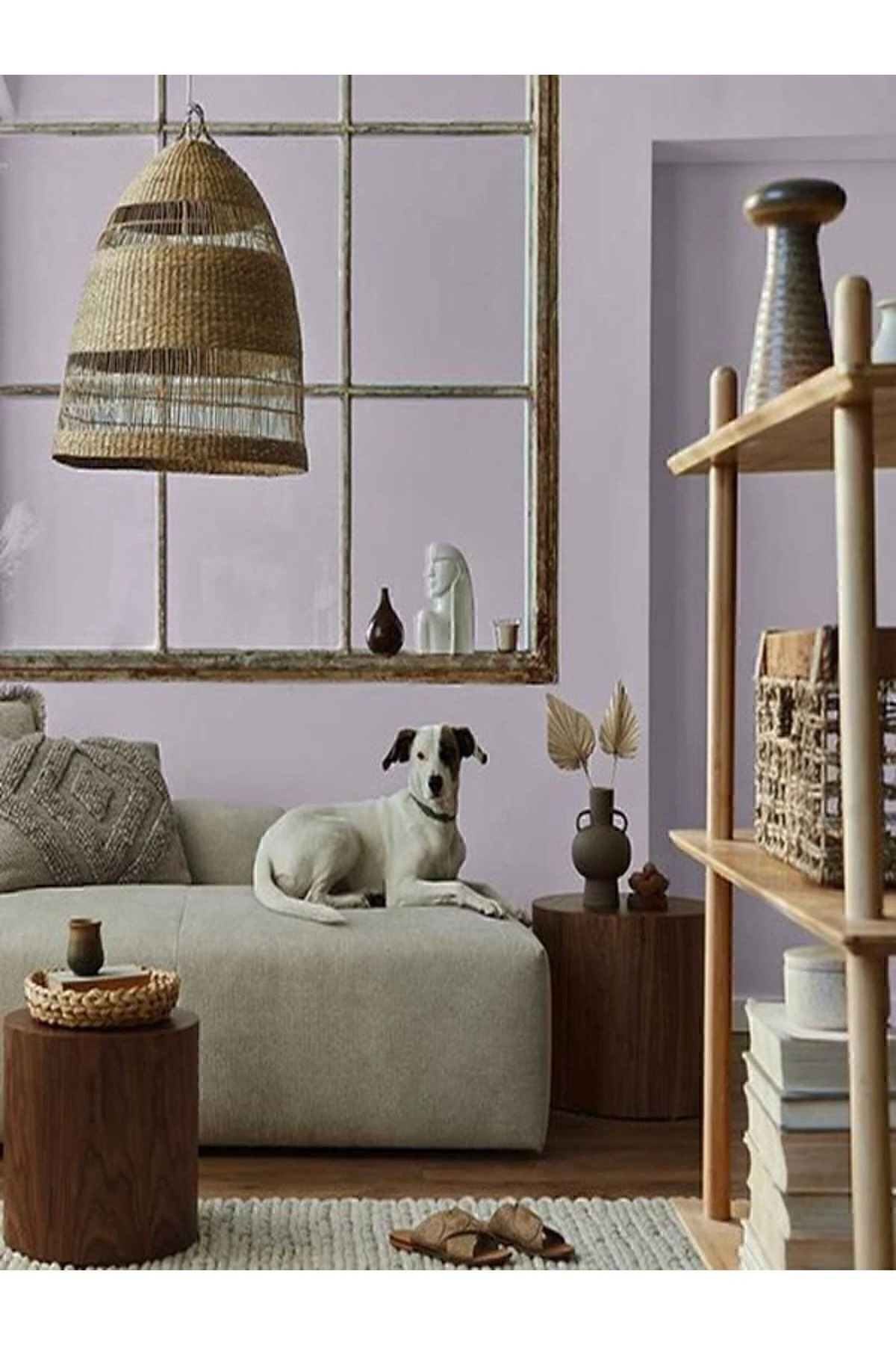 Tek Duvar Boyama Seti Lotus