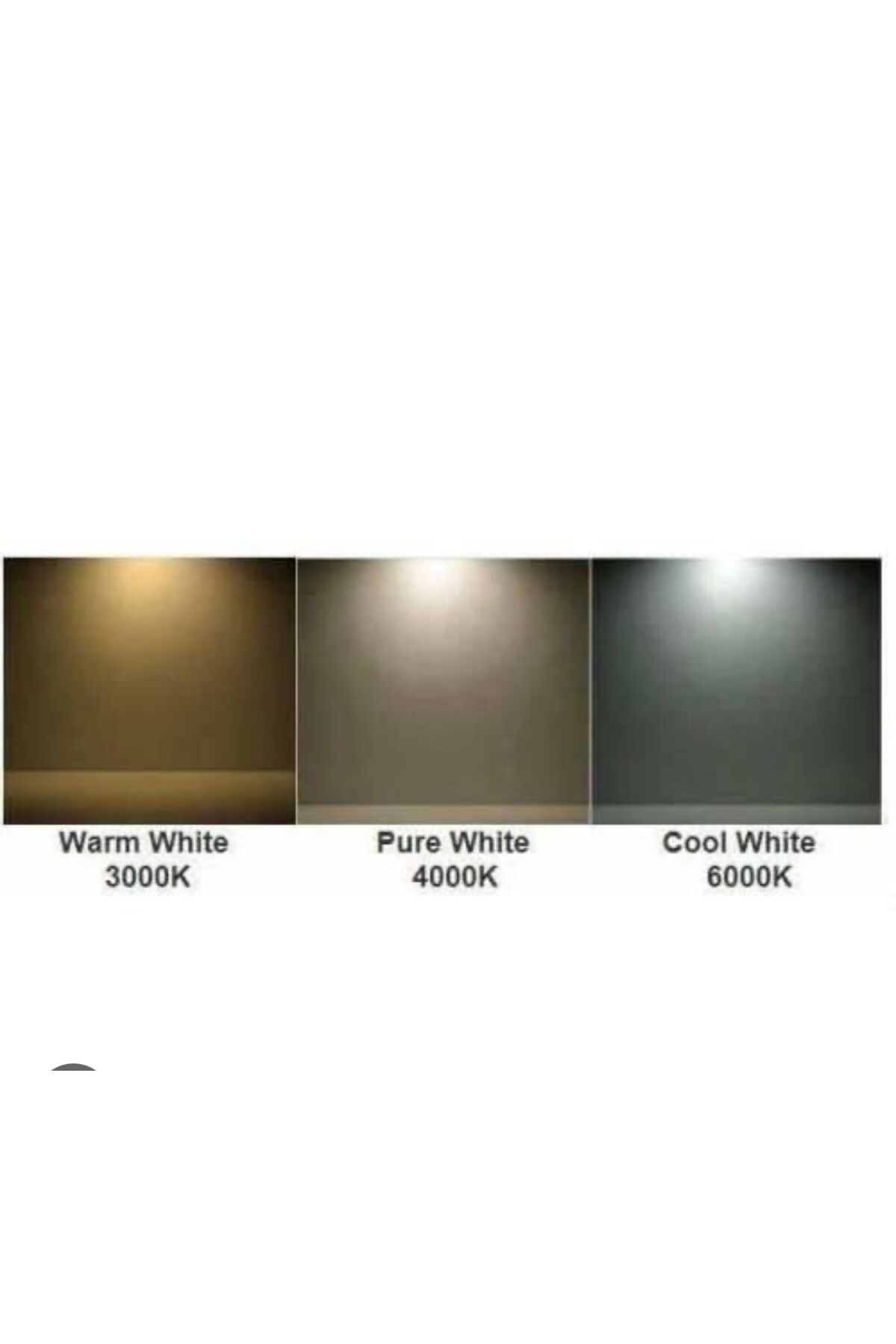 36/840 FLORASAN T8 FLORASAN AMPUL 25 LI PHİLİPS