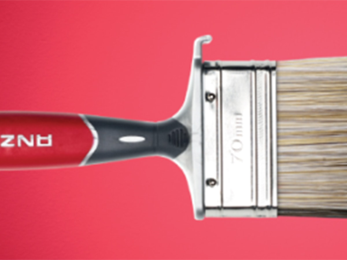 Anza Elite Serisi Fırça 50mm