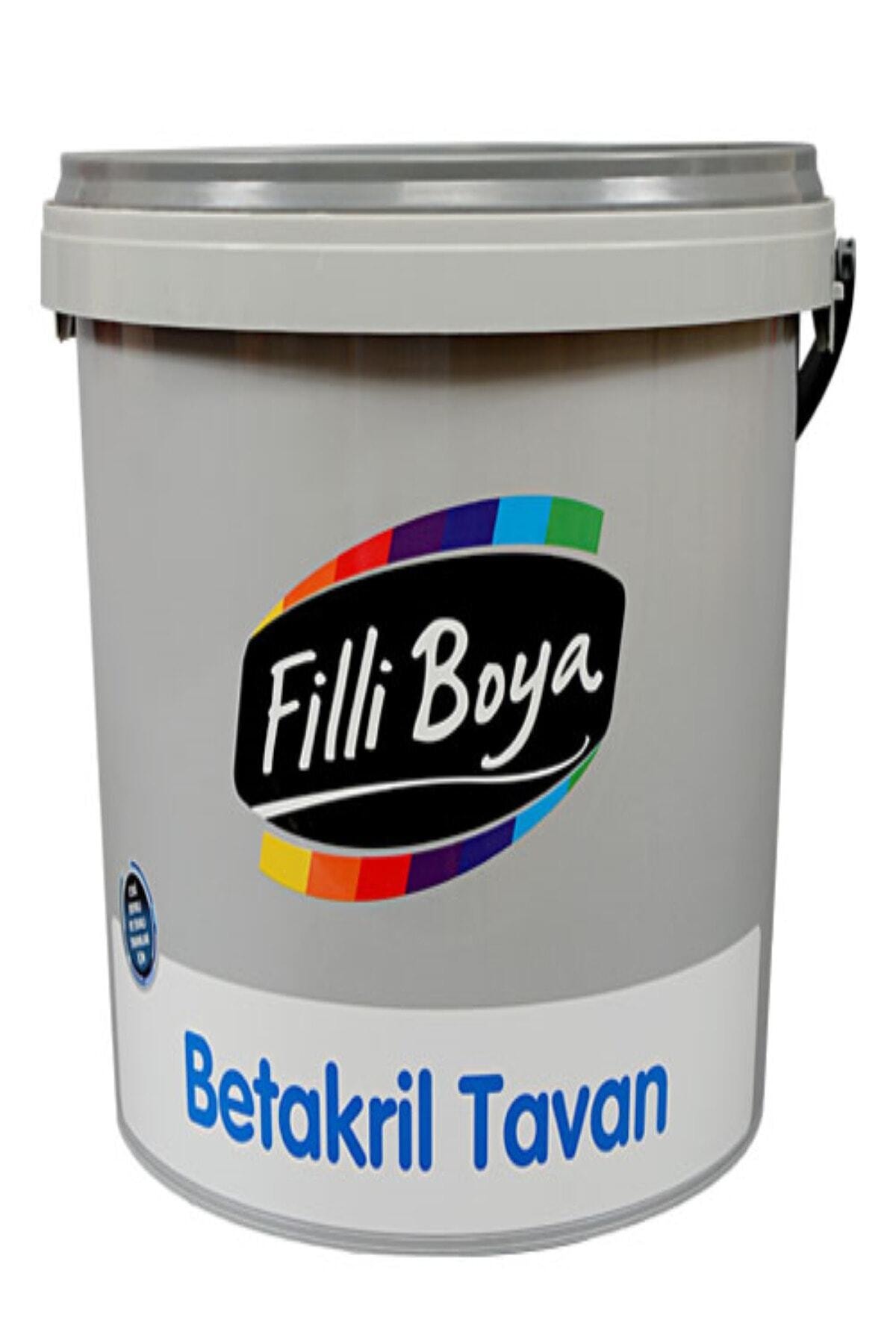 Betakril Tavan Boyası 1 Kg. Beyaz