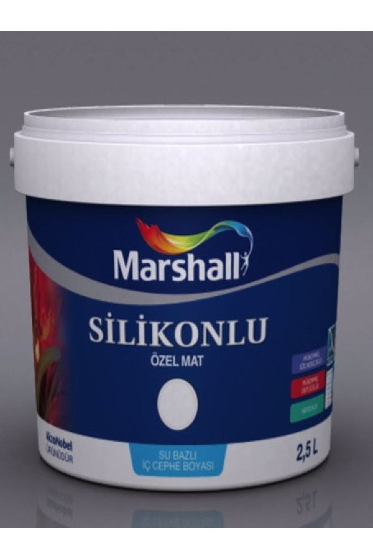 Silikonlu Özel Mat Akarsu 2,5 Lt (3,5 Kg)