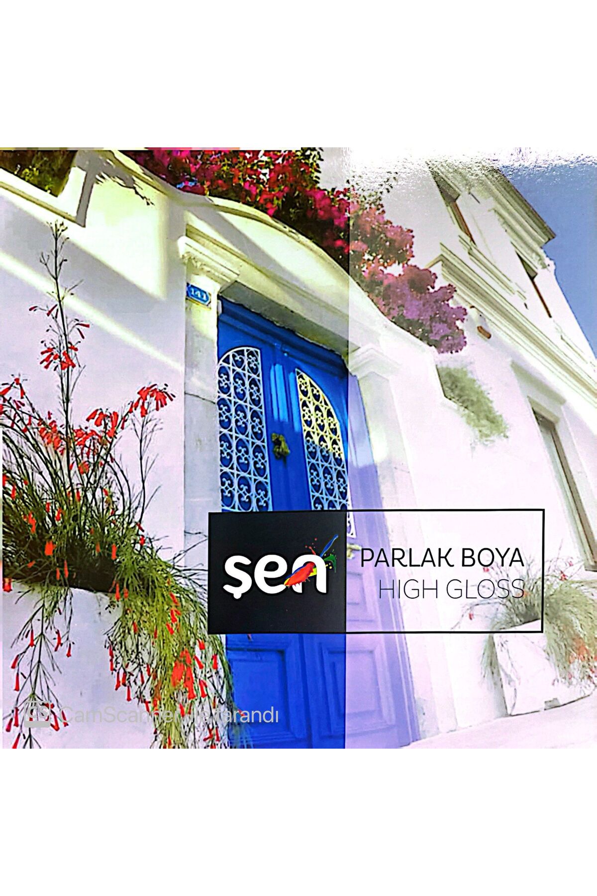 Sentetik Boya Yağlı boya