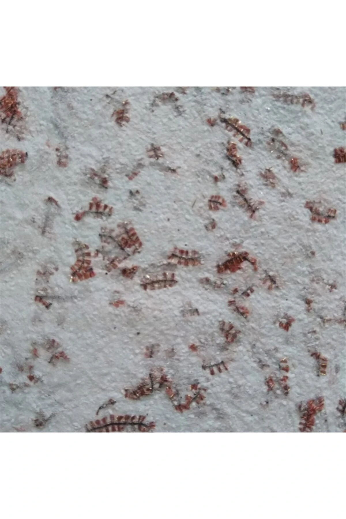 Canlı Sıva Dekorasyon Ve Yalıtım Sıvası Londra 4002