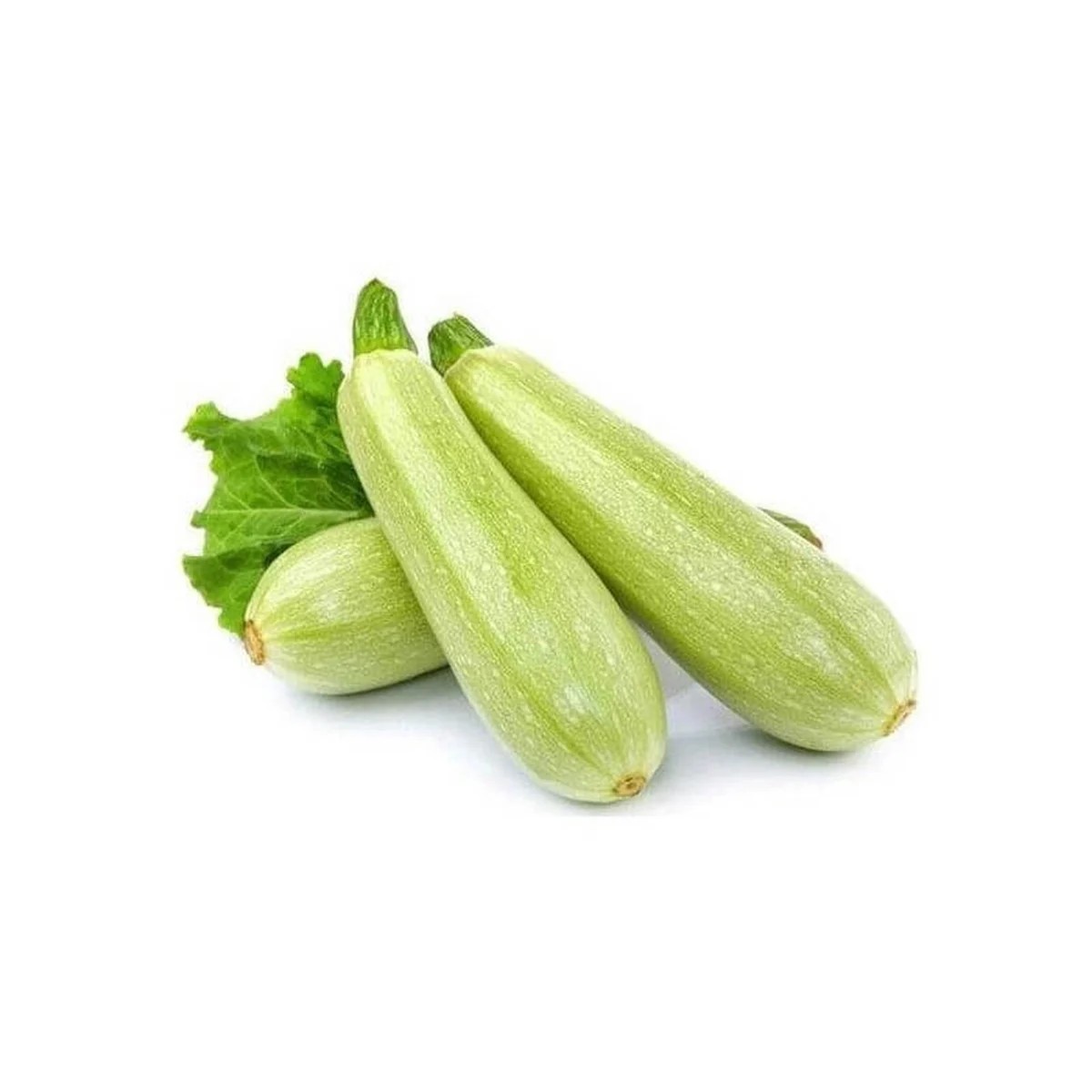 Yeşil Kabak 500GR