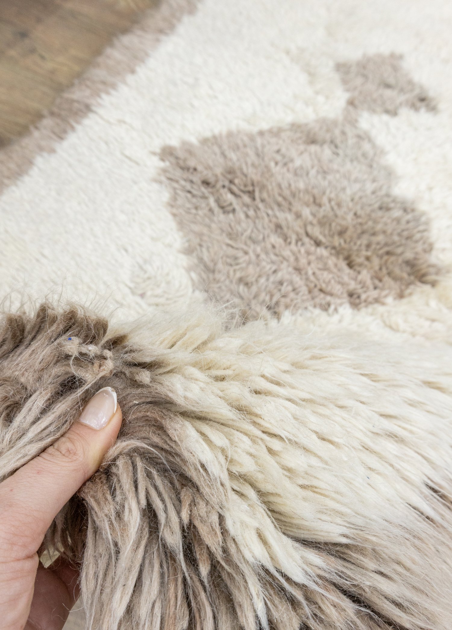 Echo Pastel Colored Natural Shaggy Rug 93x155 cm