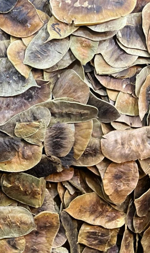 Deve Gözü (Açlık Otu)