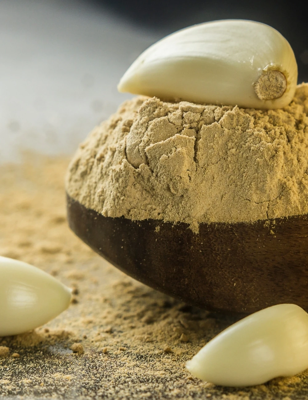 Sarımsak Tozu 100 gr