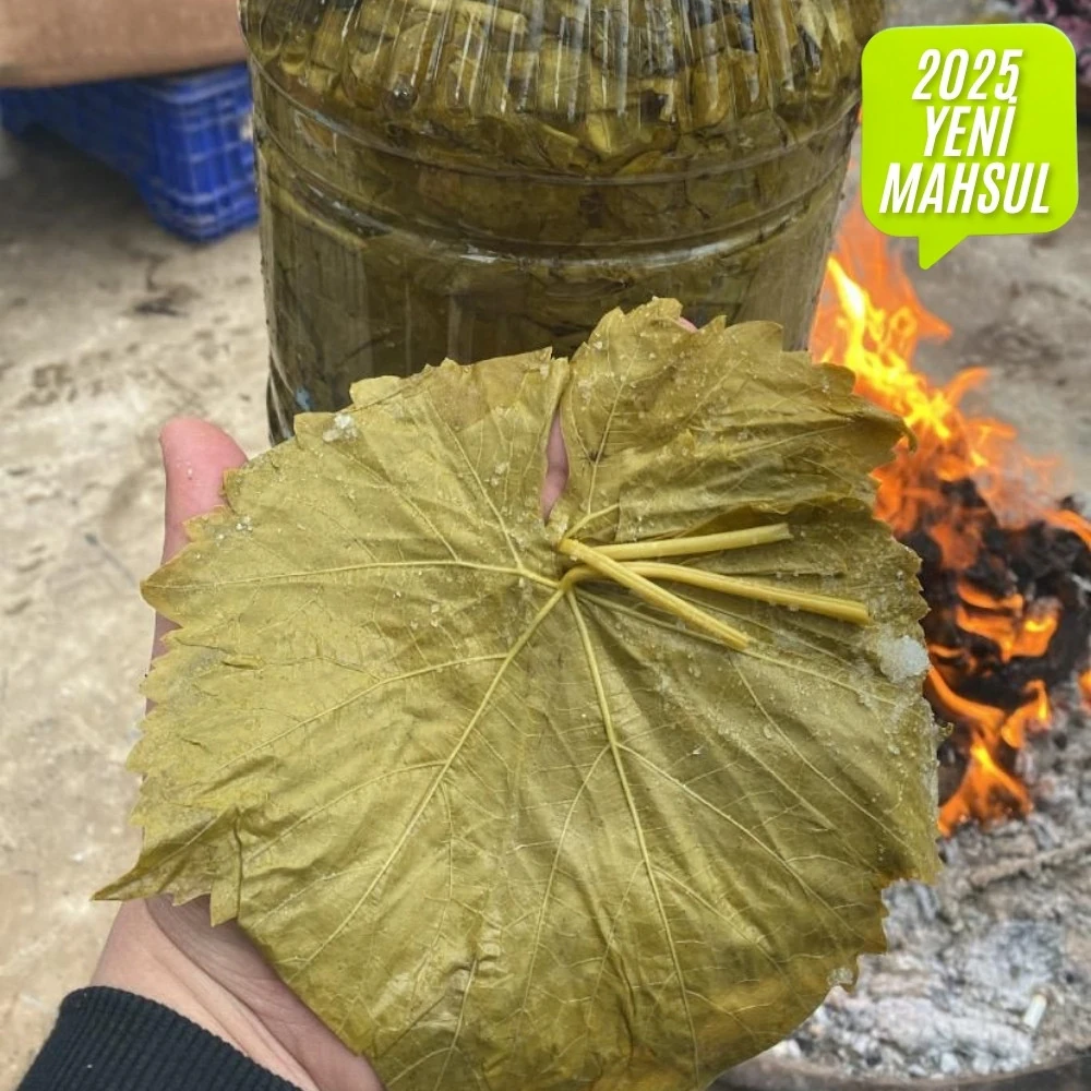 Salamura Asma Yaprak 2x5'lik Bidon