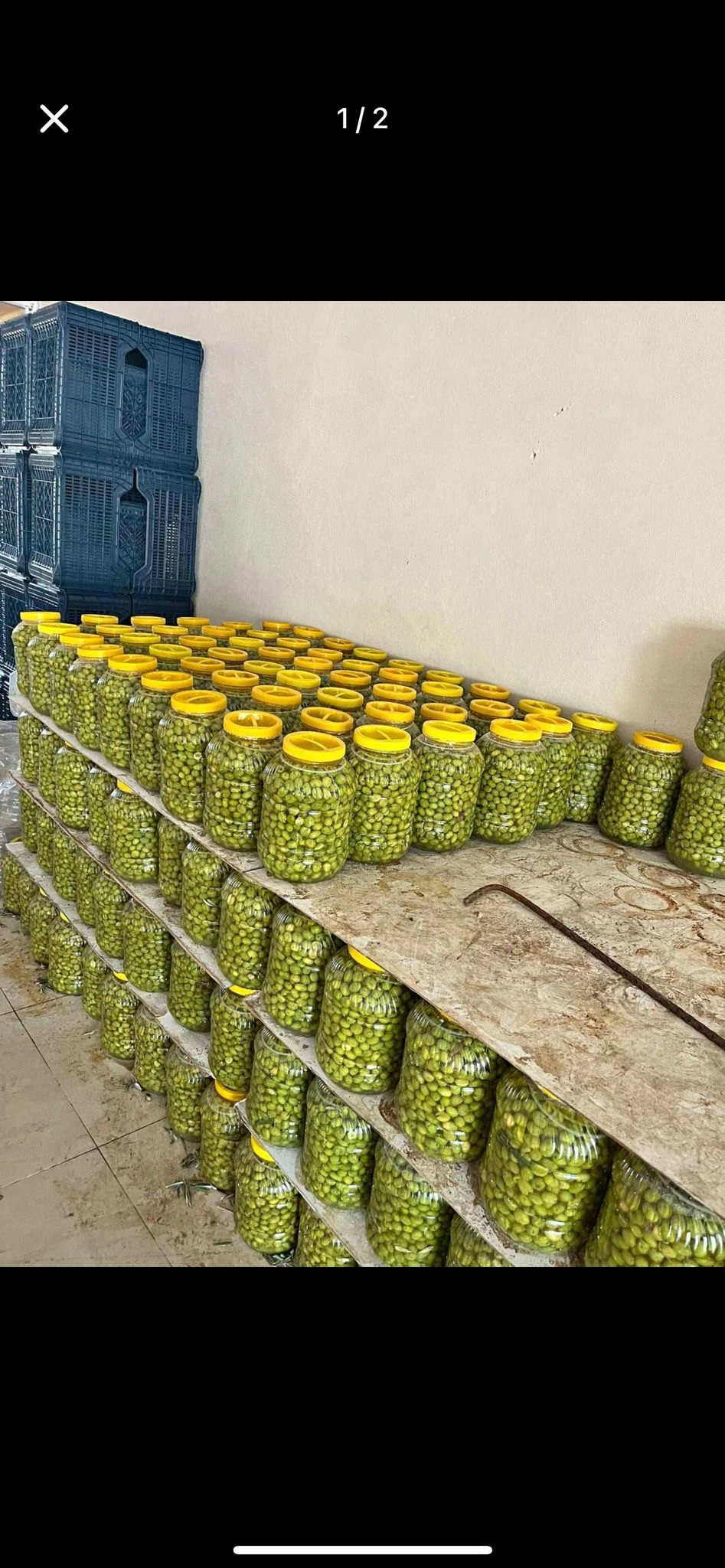 Taş Kırma Zeytin 5 lt