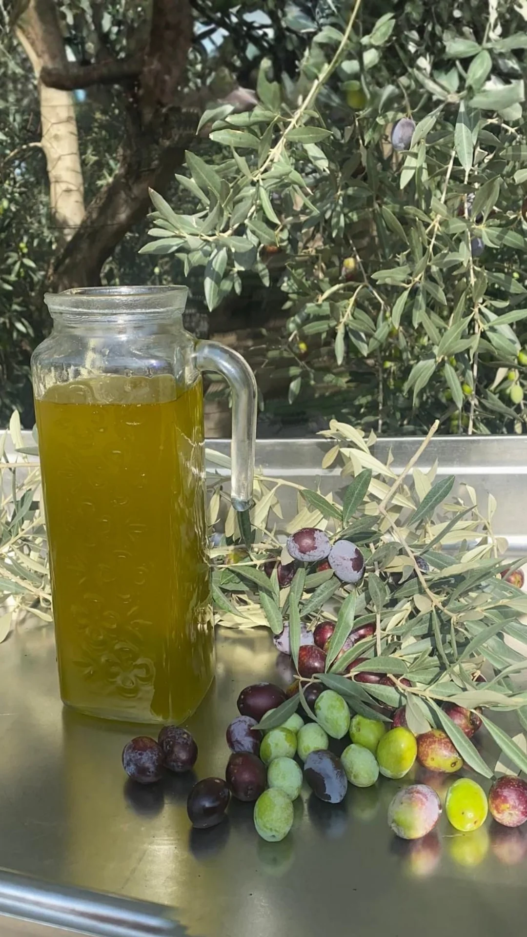 Erken Hasat Zeytinyağ 5 lt