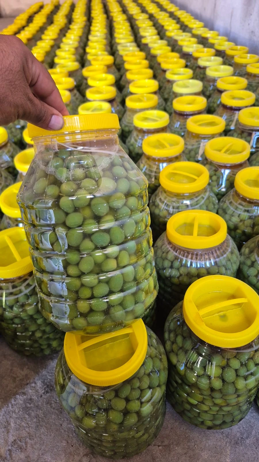 Külleme Zeytin 5 lt