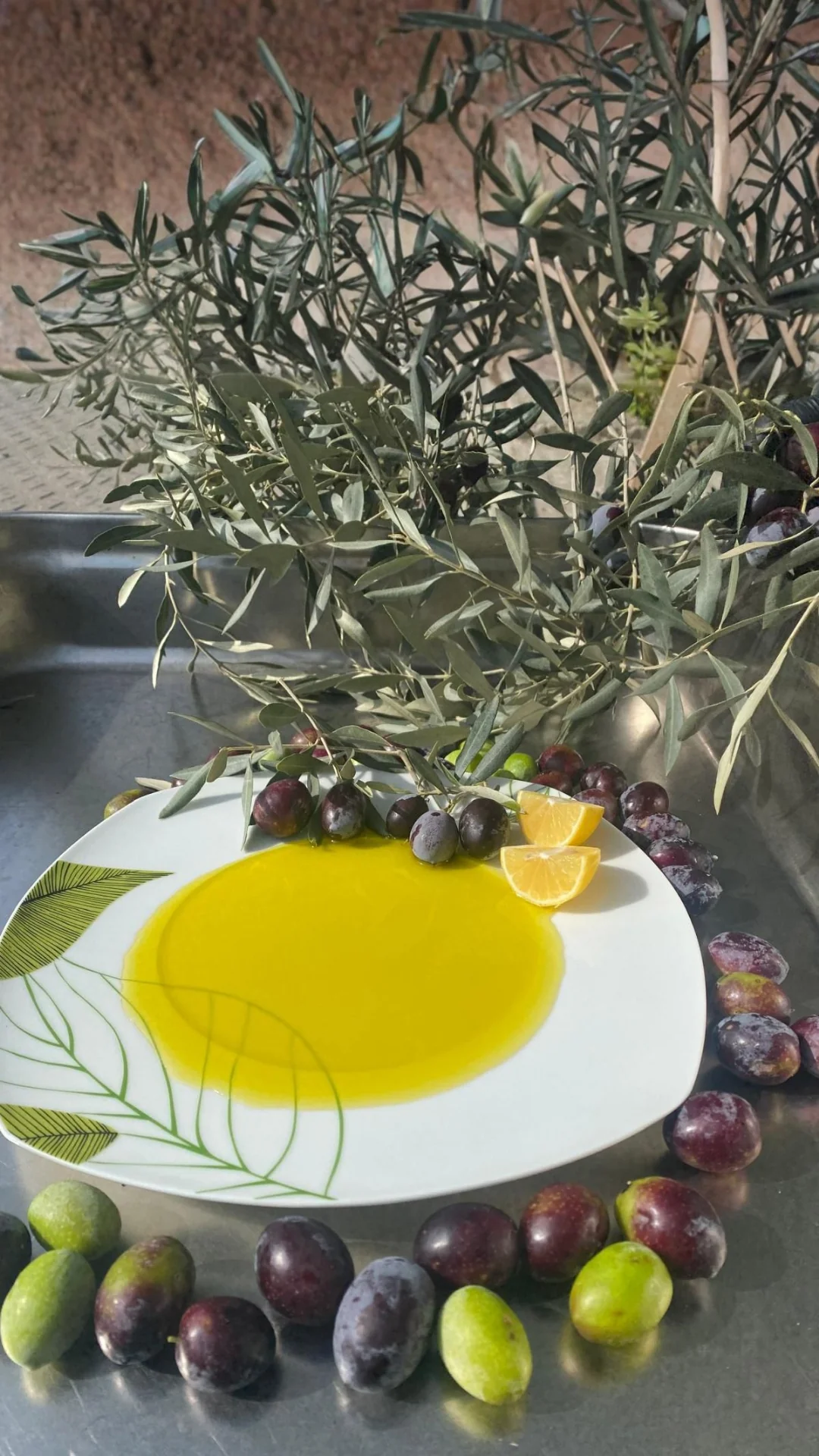 Erken Hasat Zeytinyağı 1 lt