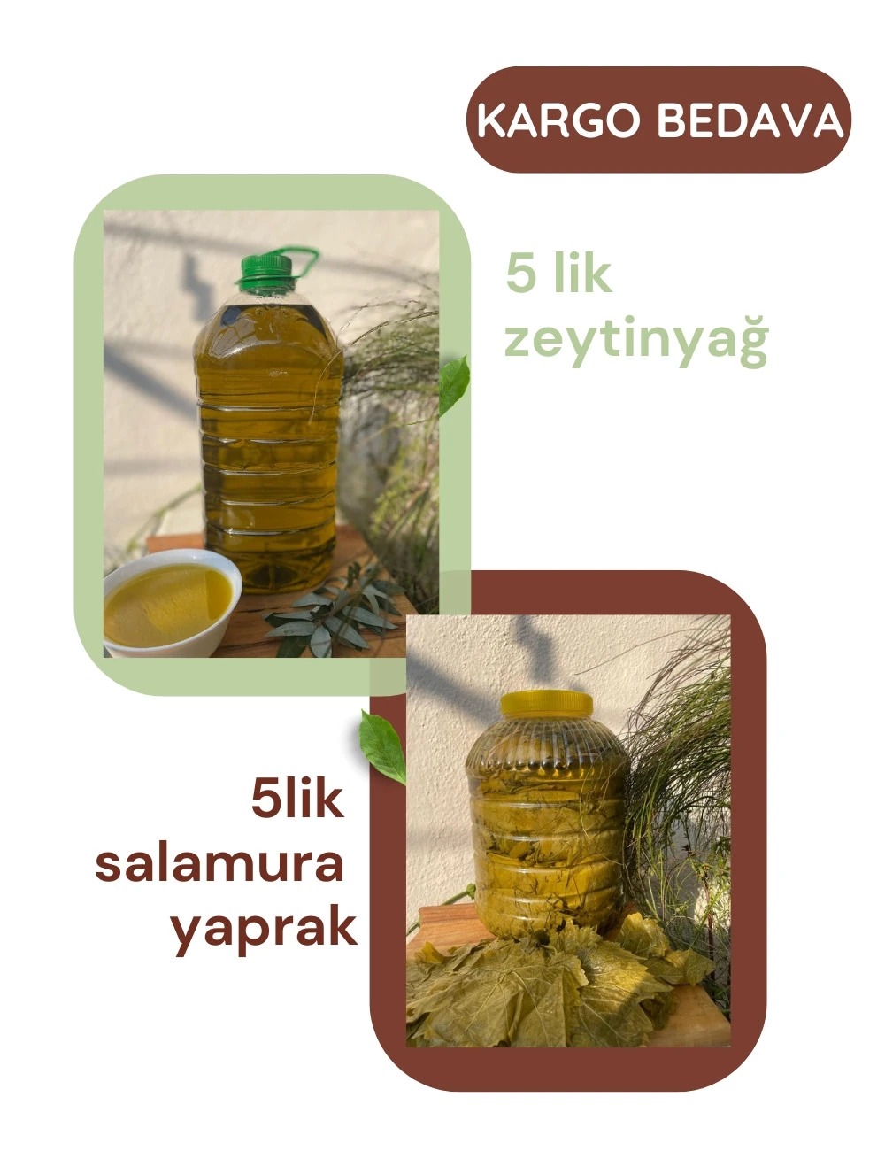 Zeytinyağ ve Salamura Yaprak