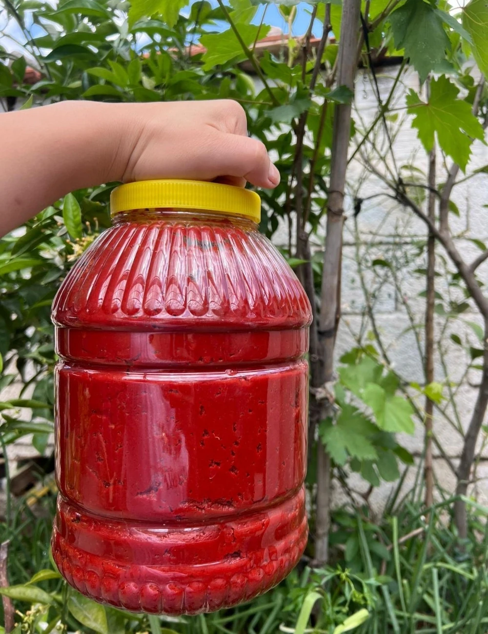 Biber Salçası Acı 5 kg