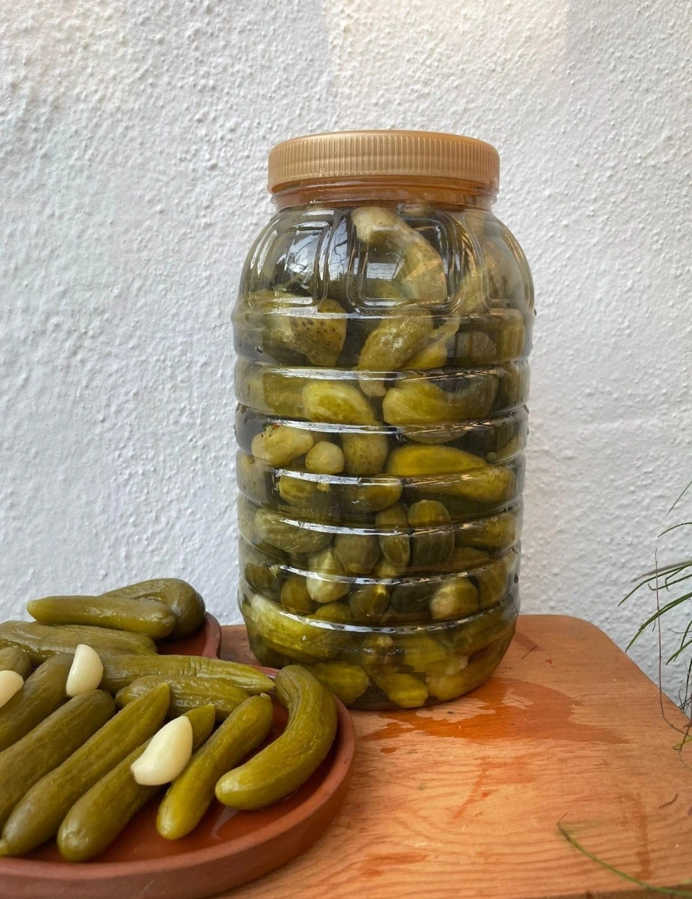 Kornişon Turşu 3'lük Bidon