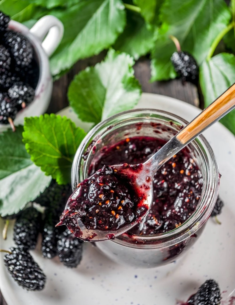 Karadut Reçeli 500 gr