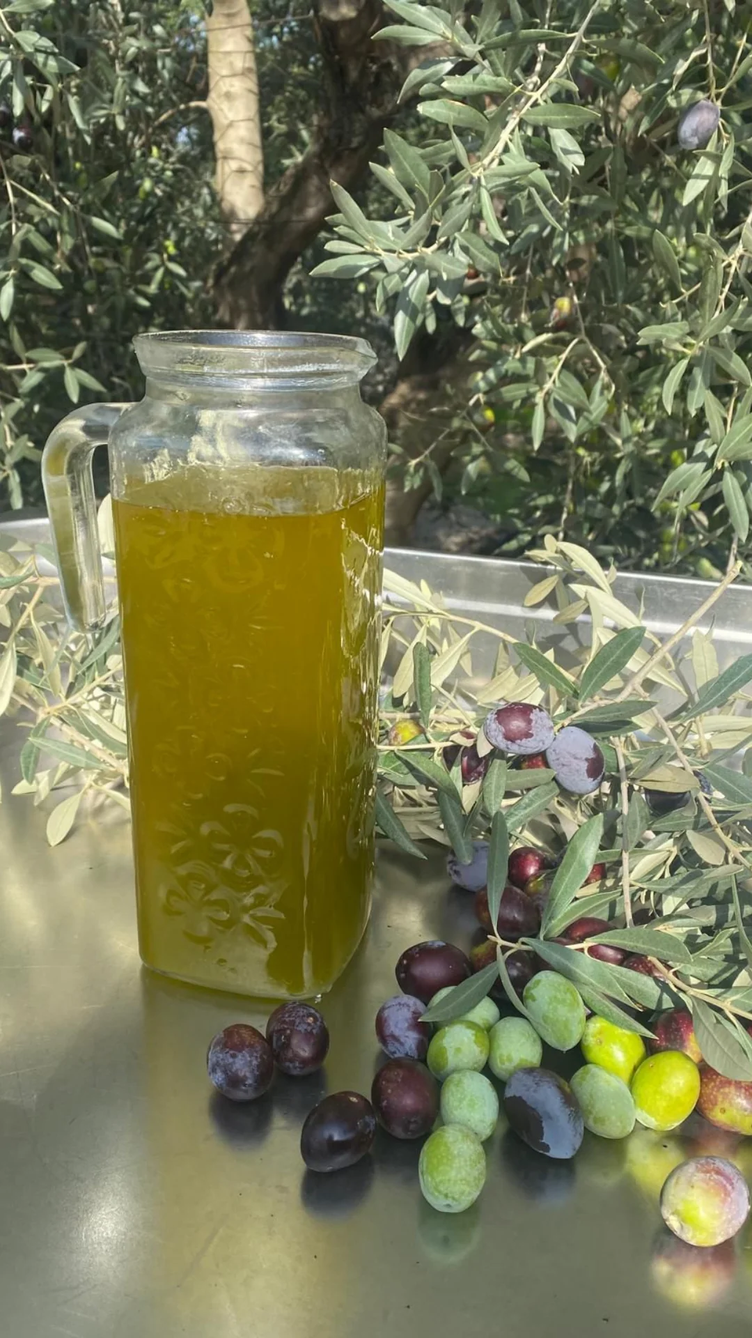 Erken Hasat Zeytinyağ 5 lt