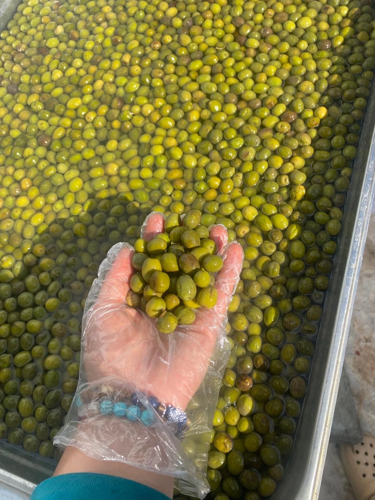 Külleme Zeytin 5 lt