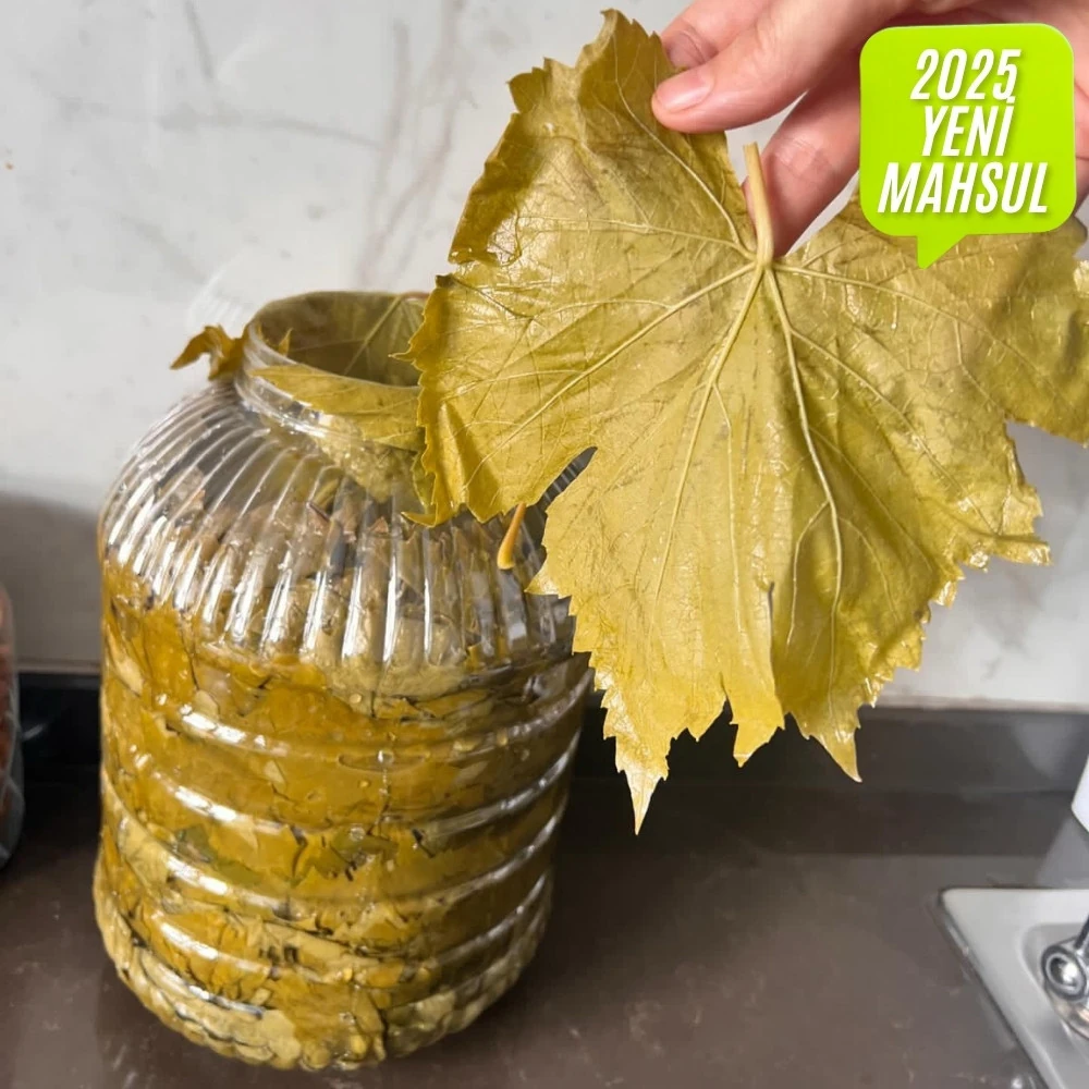 Salamura Asma Yaprak 5 Lik bidon