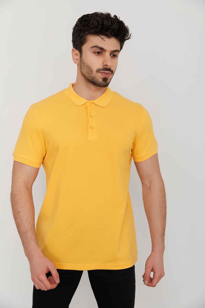 Polo Pike Erkek T-Shirt