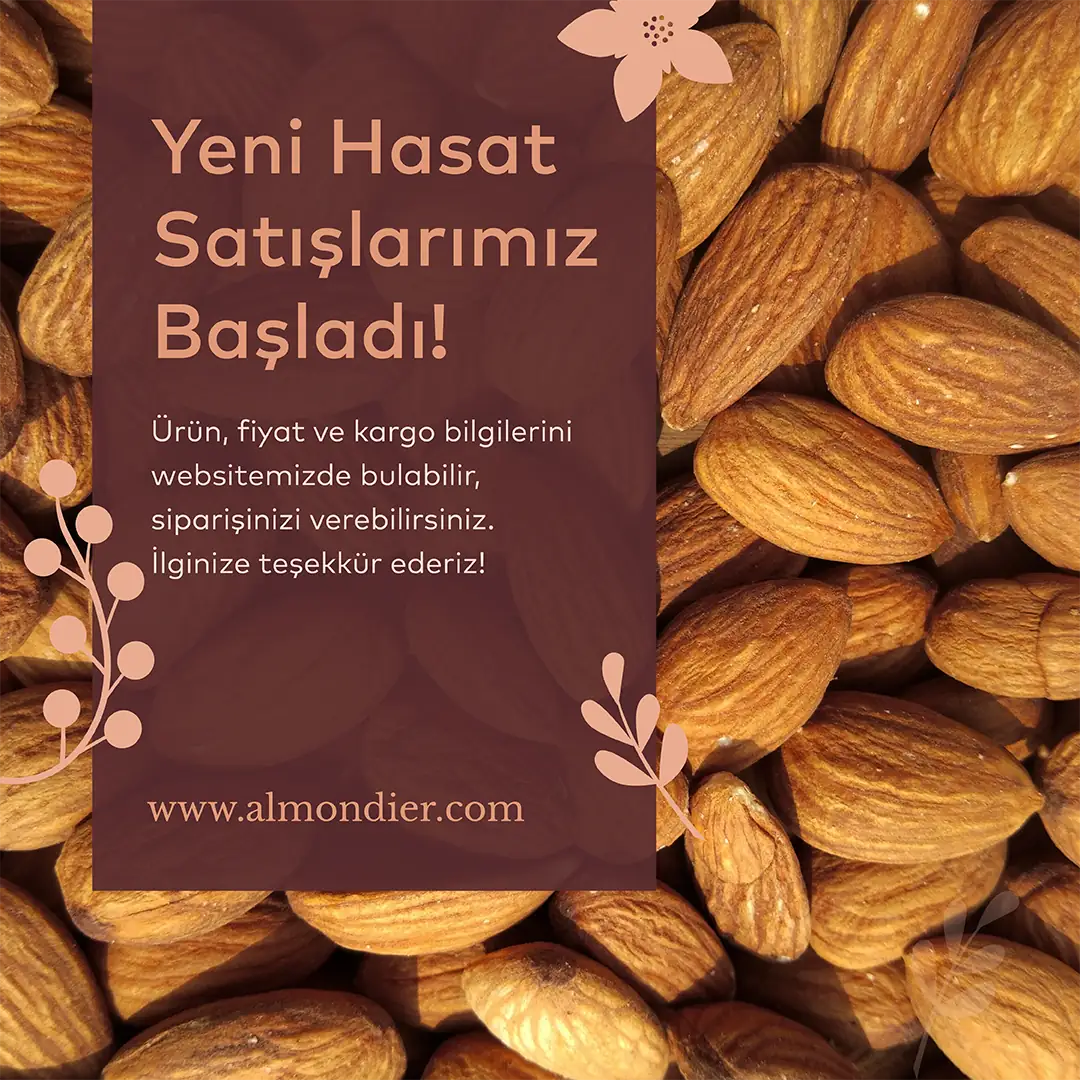 Yeni Hasat Almondier Bademlerinin Satışı Başladı!