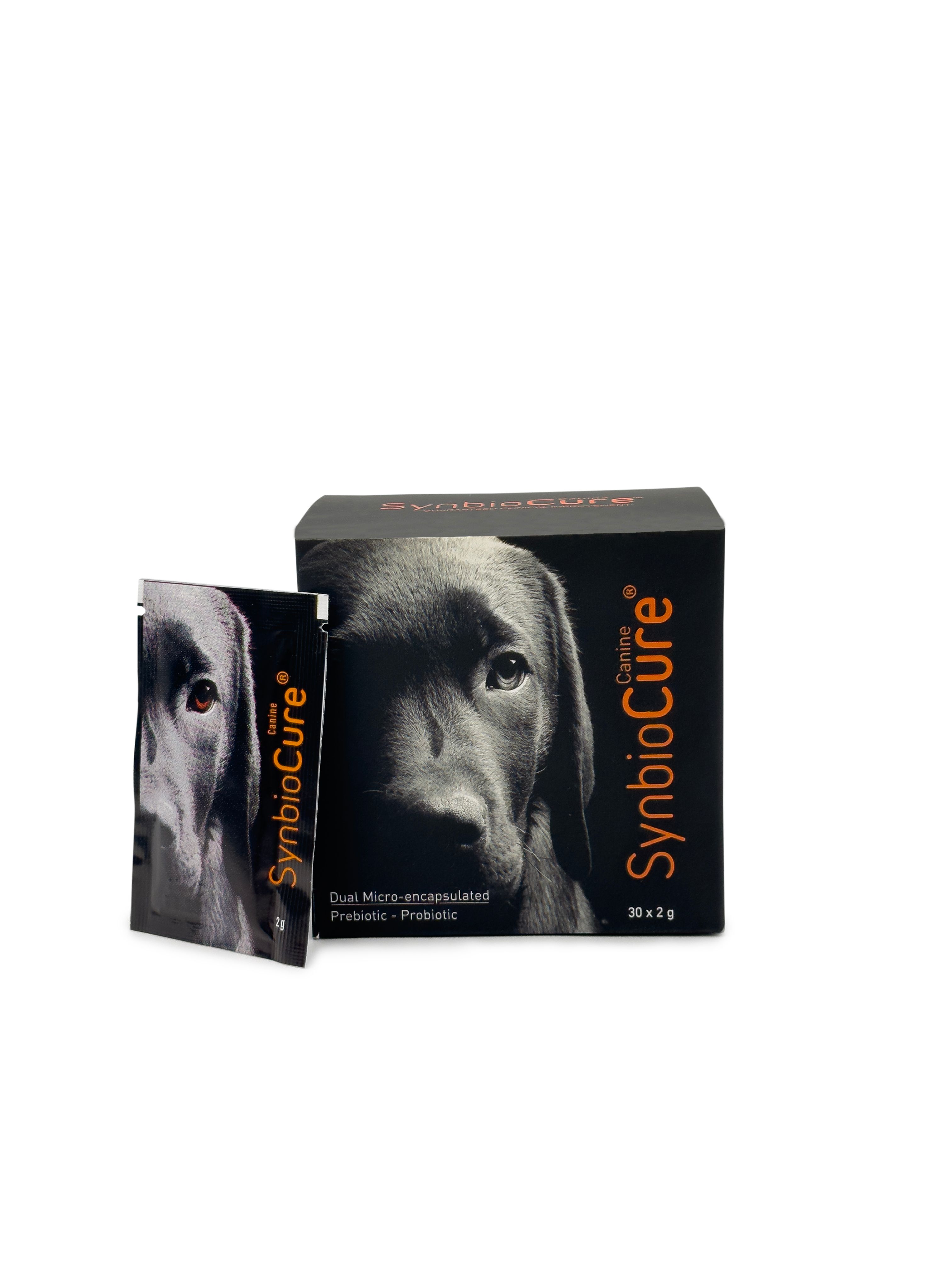 SynbioCure Dog (Köpek Yenilebilir Toz Probiyotik ve Prebiyotik 30x - 2 gr)