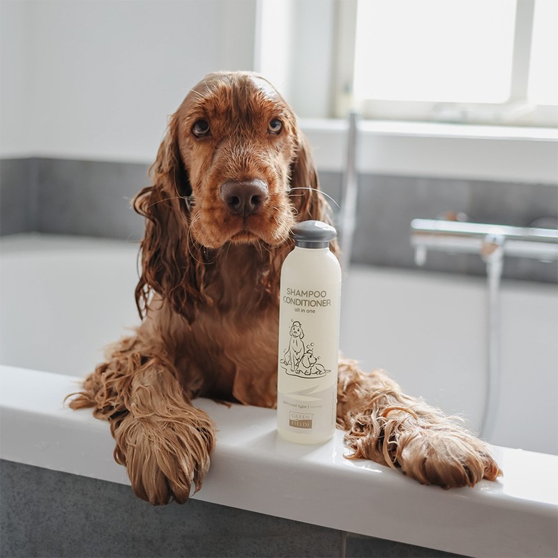 Greenfields Shampoo Conditioner (Kremli Köpek Şampuanı) – 270 ml