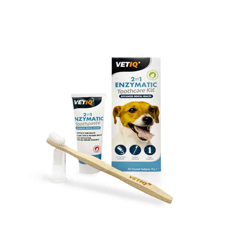 VetIQ 2in1 Enzymatic Toothcare Kit (Köpek Diş Macunu ve Diş Fırçası Seti) - 70 gr