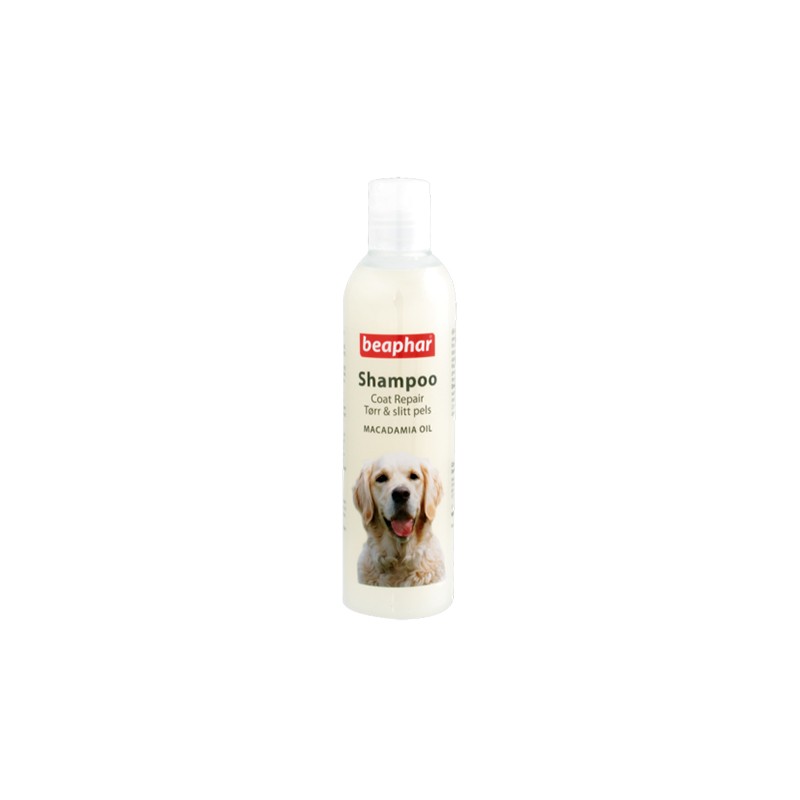 Beaphar Coat Repair Macademia Özlü Kıtık Çözücü Köpek Şampuanı - 250 ml