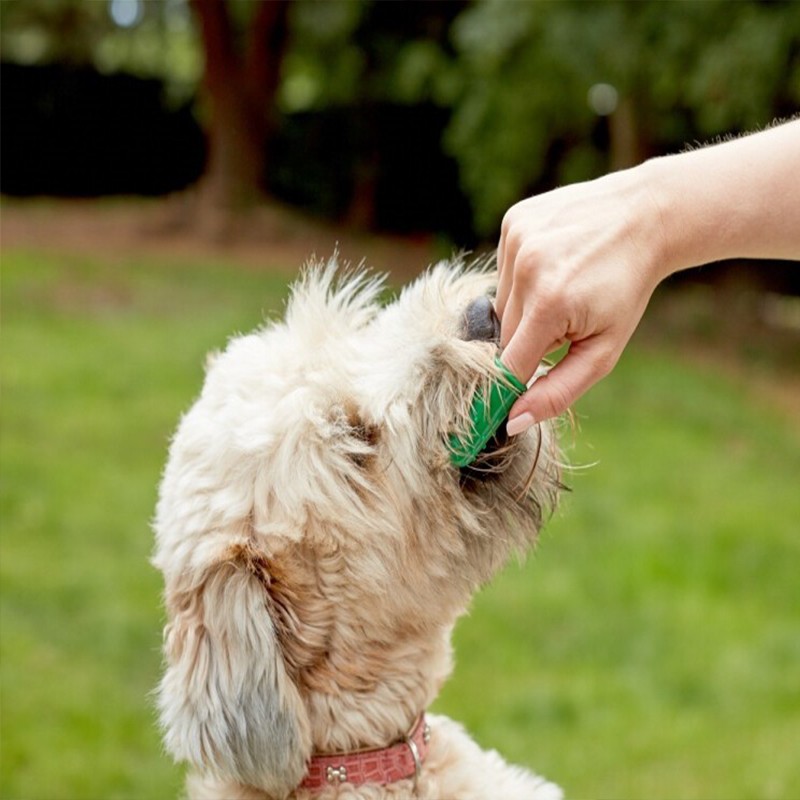 Vet's + Best Kedi Köpek Silikon Başlıklı Parmak Diş Fırçası