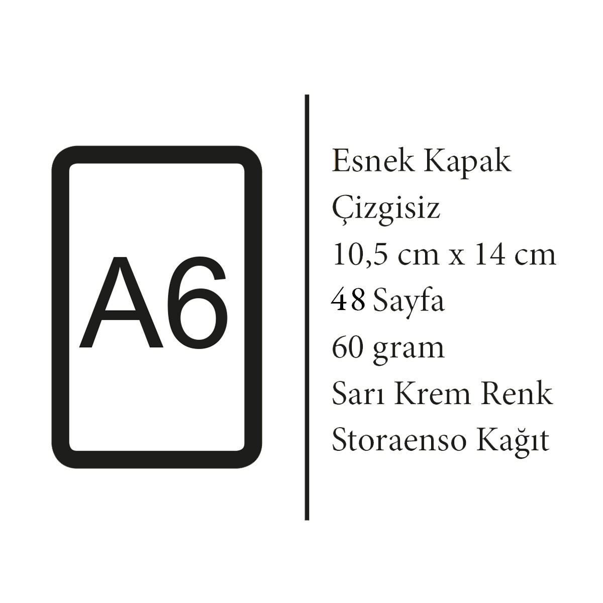 Scream Series - A6 / Caravaggio Dörtlü Defter Seti II