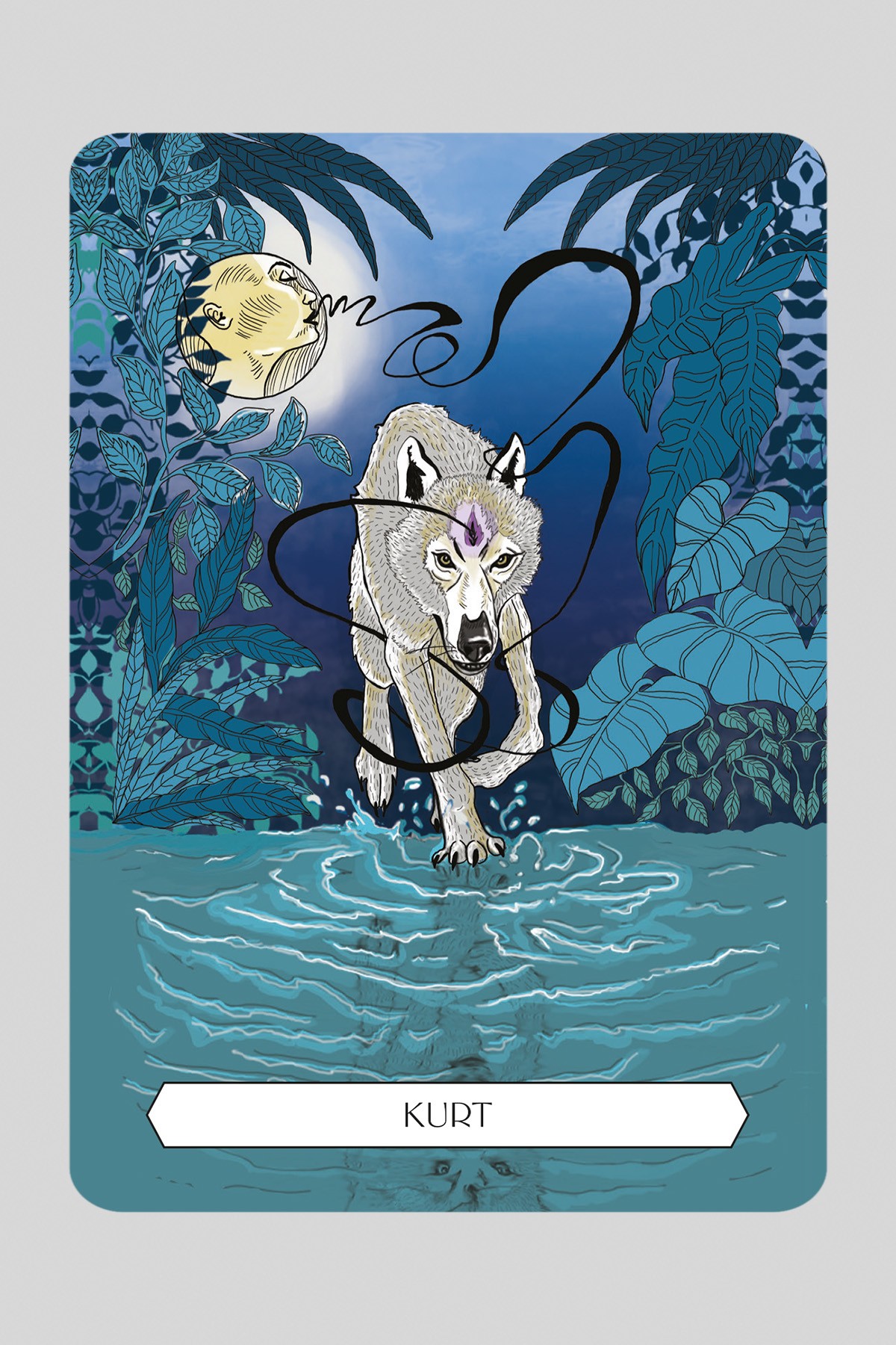 Şaman Kehanet Kartları - 50 Kartlık Deste Ve 64 Sayfa Rehber Kitap 2024 Tarot / Francesca Matteoni