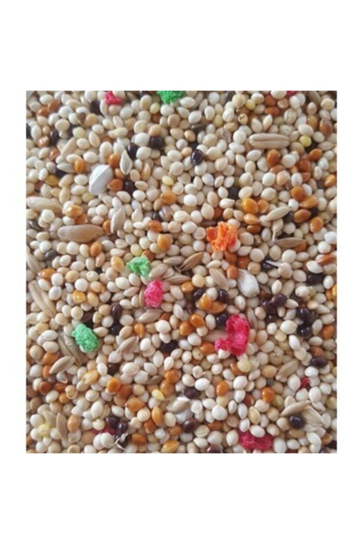 Karışık Muhabbet Kuşu Yemi 1 Kg