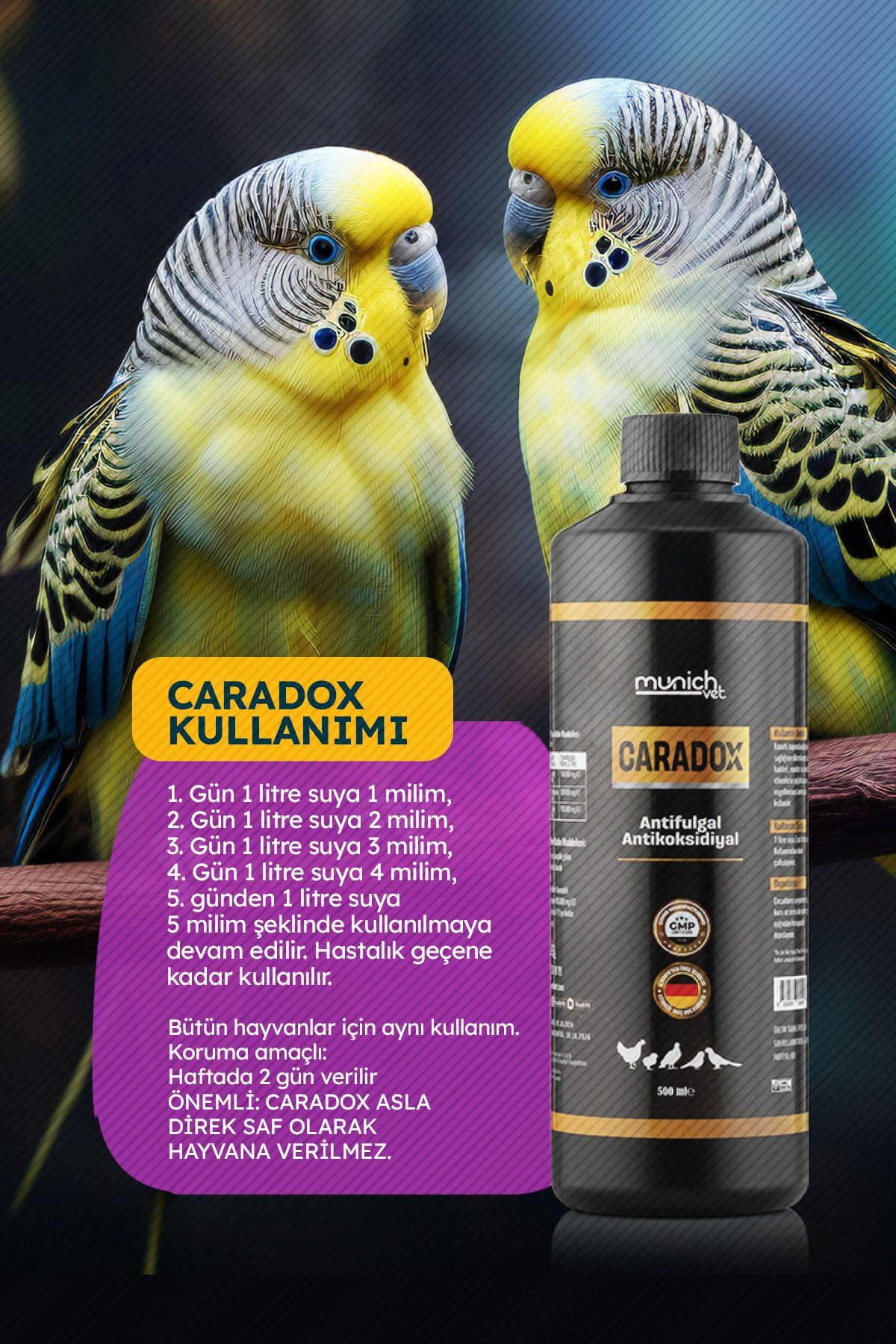 Caradox Kursak Mantarı - Ağızdan Peynirleşme - Kuruma - Hırıltı Ürünü 500 ml