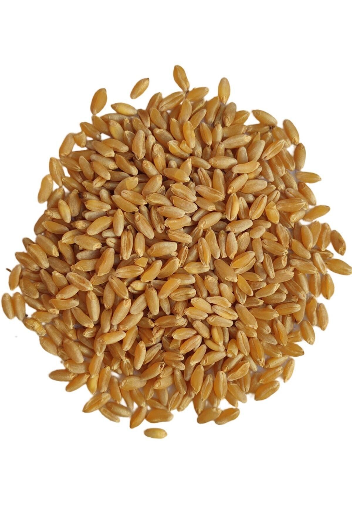 25kg Elenmiş Kırmızı Buğday