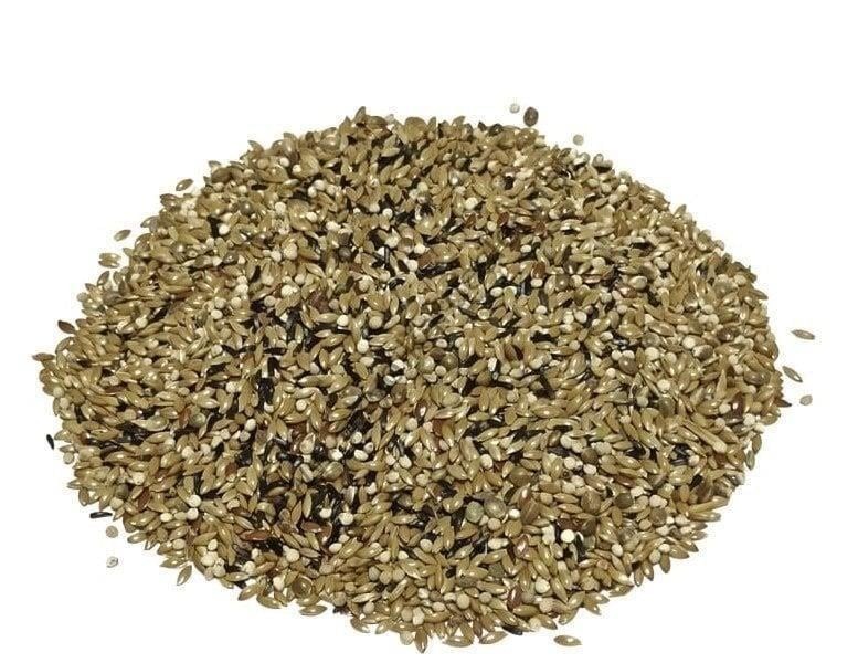 Rapiskasız Özel Üretim Karışık Kanarya Yemi - 10 Kg