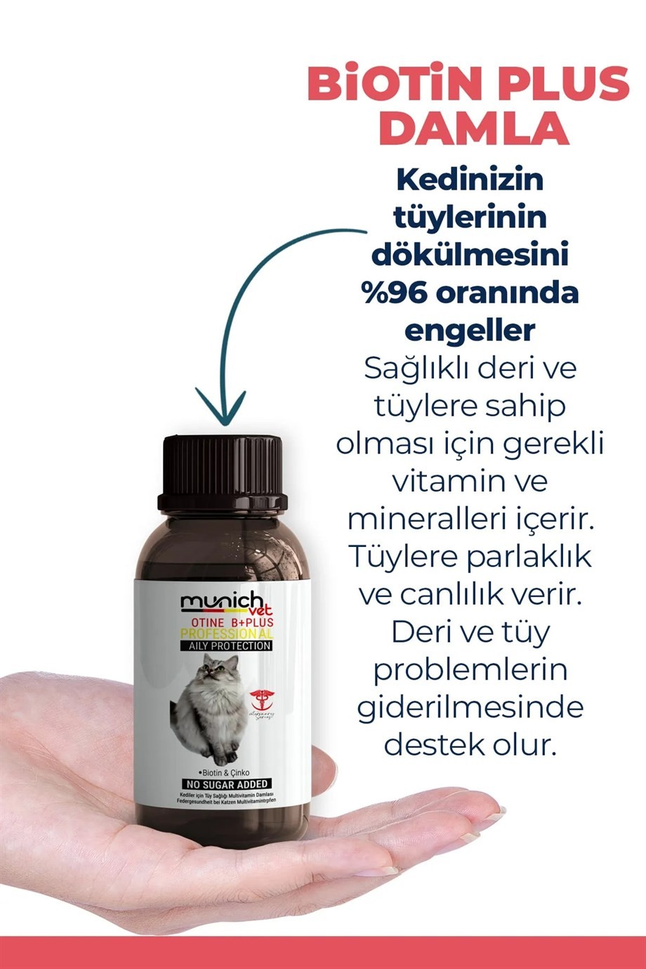 Kedi 3 Lü Bakım Seti