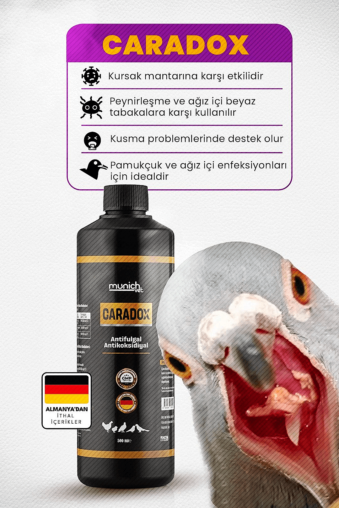 Caradox Kursak Mantarı - Ağızdan Peynirleşme - Kuruma - Hırıltı Ürünü 500 ml