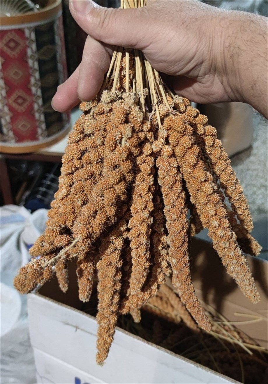 Kızıl Dal Darı -5Kg