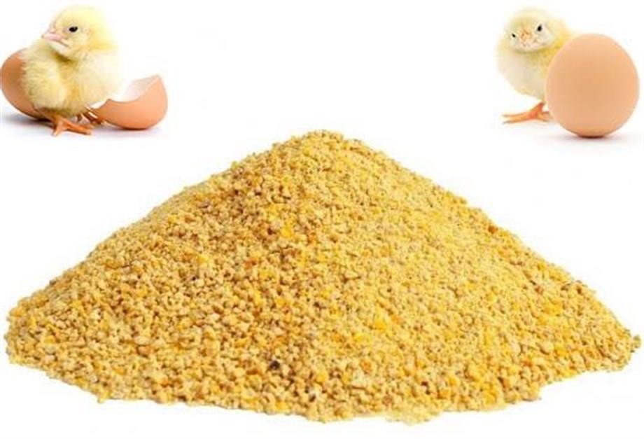 Etlik Civciv Yemi-1Kg