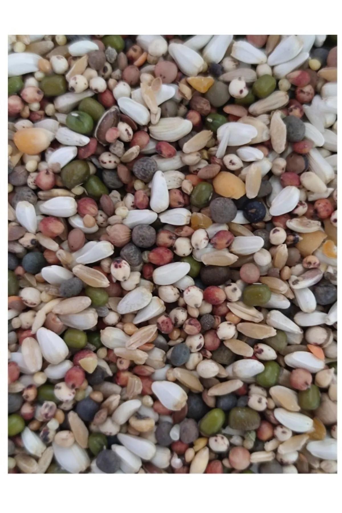 Özel Karışım Keklik Yemi - 5 Kg