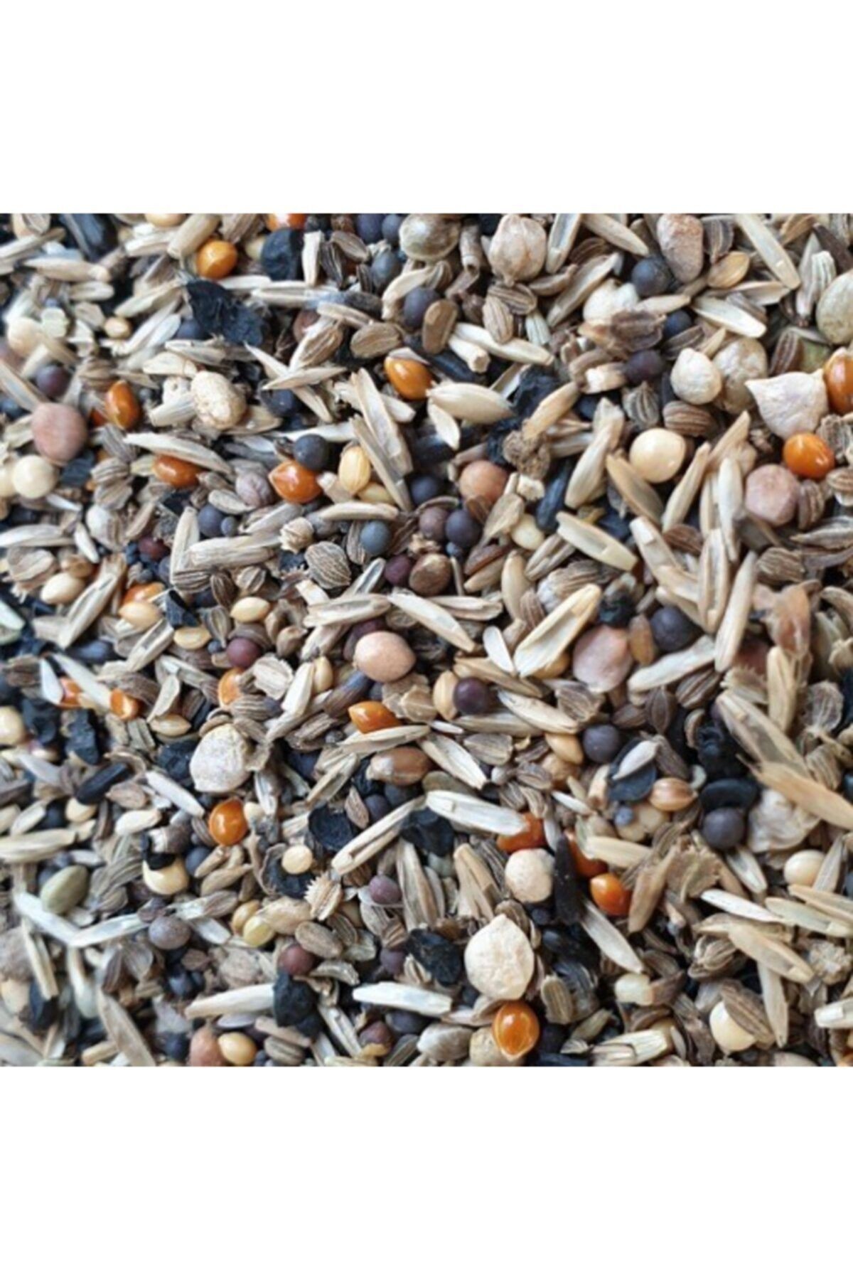 Sağlık Tohumu 1 Kg