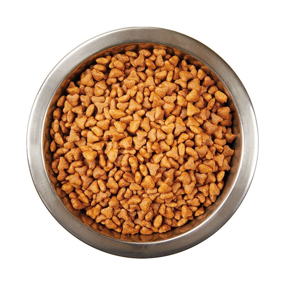 Katzoo Yavru Kedı Maması-Tavuklu-15Kg