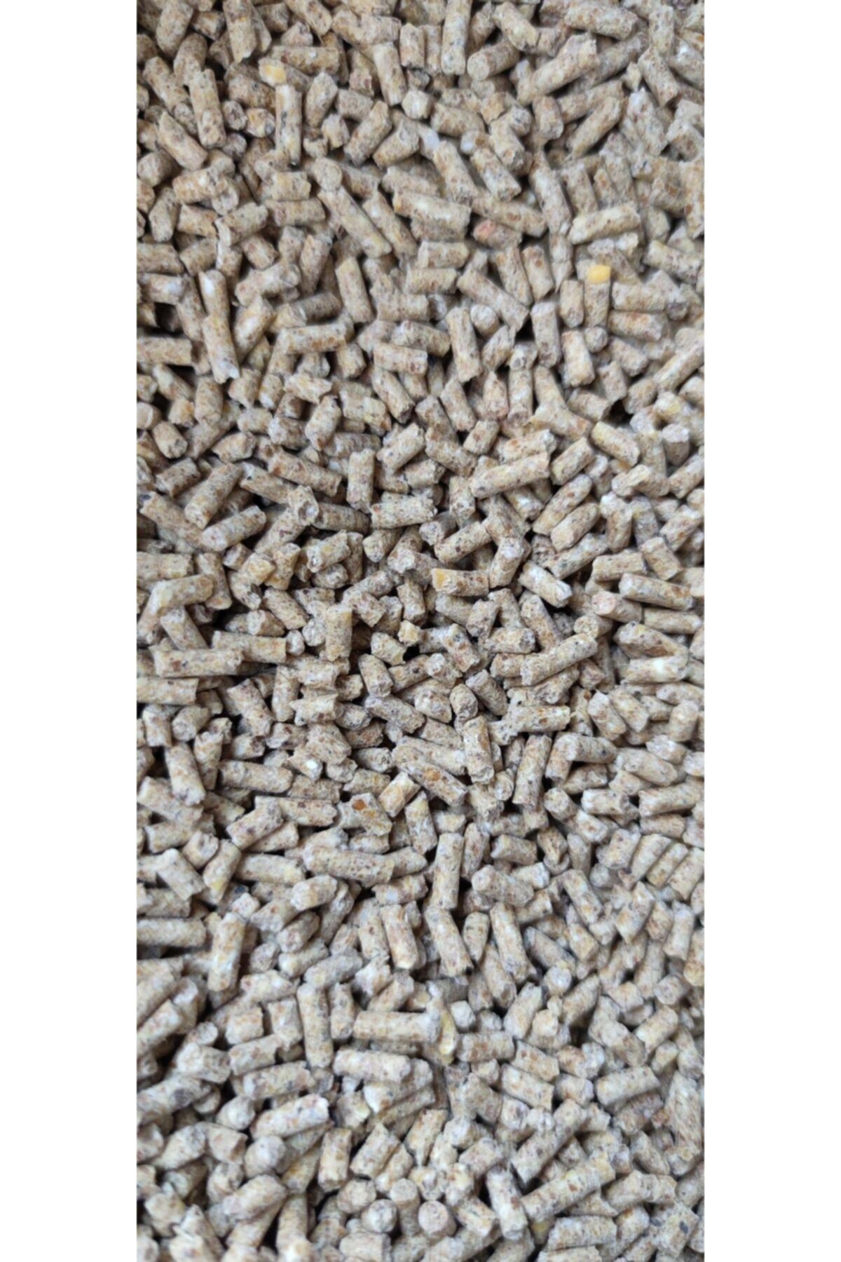 Tavuk Yemi Protein 5 kg
