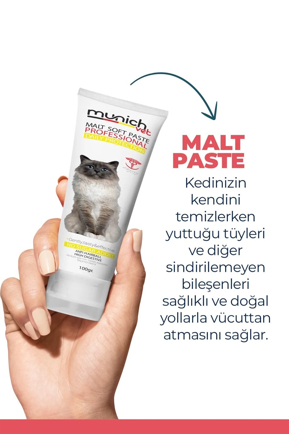 Kedi 3 Lü Bakım Seti